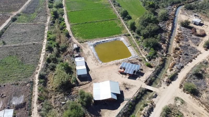 3 Bedroom Property for Sale in Calitzdorp Western Cape
